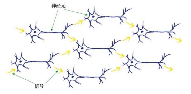 多层神经元